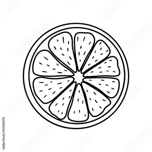 Fototapeta Black-white citrus icon. Vector illustration. Isolated element on the white background. Simple hand-drawn. For minimal creative design. For logos, packages, covers, prints, menus, textiles, stickers.