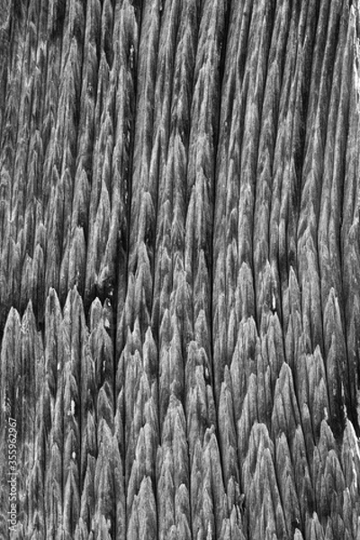 Obraz ein alter Holzbalken