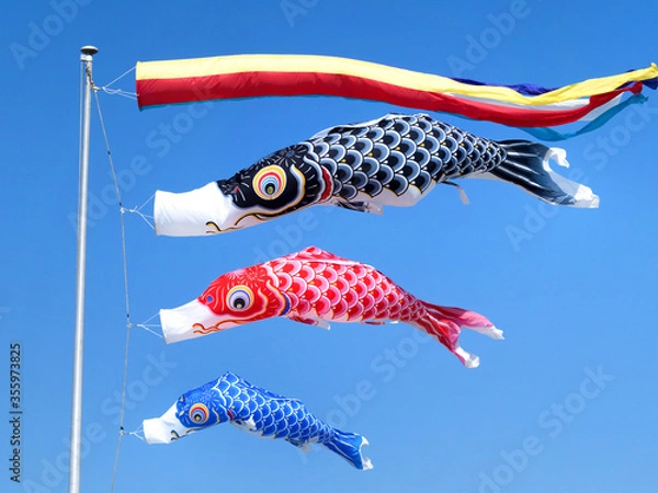 Fototapeta 初夏の青空にはためくコイノボリ
