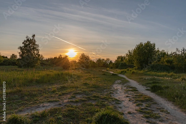 Fototapeta sunset in the field