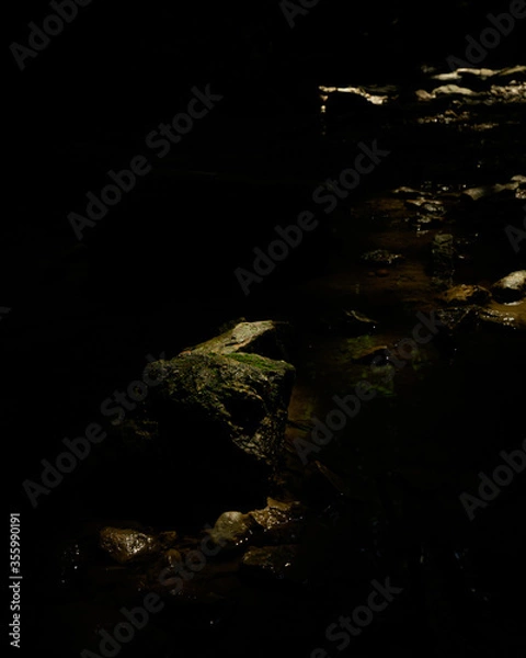 Fototapeta reflection in water