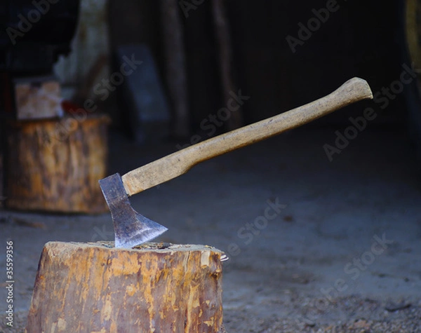 Obraz Siekiera na pniu