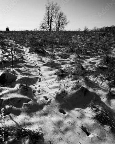 Fototapeta footsteps in snow