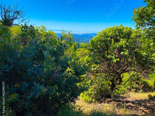 Fototapeta The hills