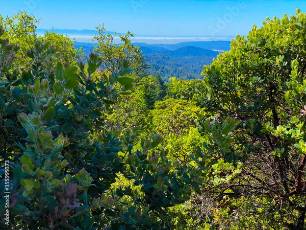 Fototapeta The hills