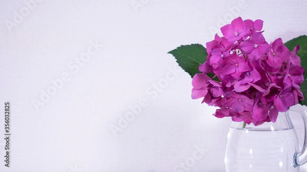 Obraz ピンクの紫陽花