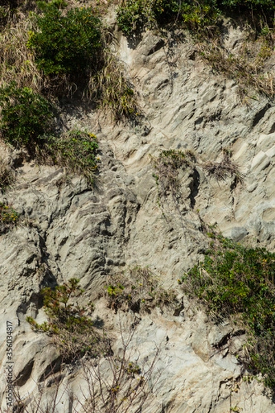Fototapeta 海岸沿いの崖(三浦半島)