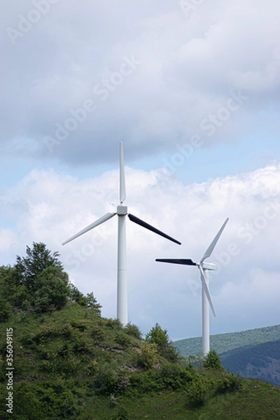 Fototapeta Pale eoliche