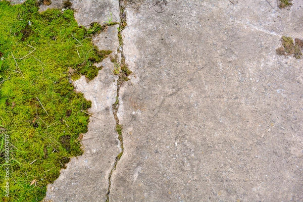 Fototapeta Broken and destroyed old cement walk way floor between them with moss and grass