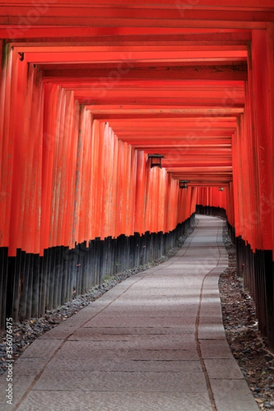 Fototapeta 誰もいない京都伏見稲荷大社の千本鳥居