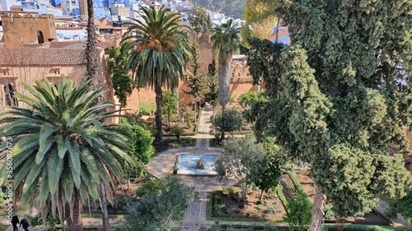 Obraz palm trees in the city