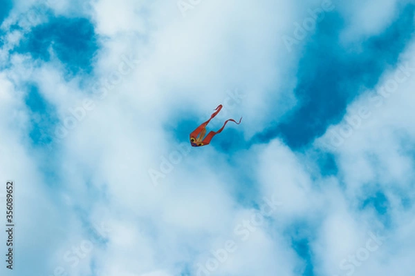 Obraz Kite in Cloudy Sky