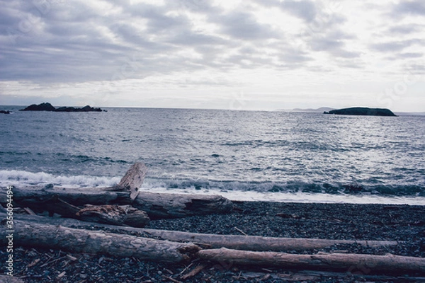 Obraz Waves on the Shore