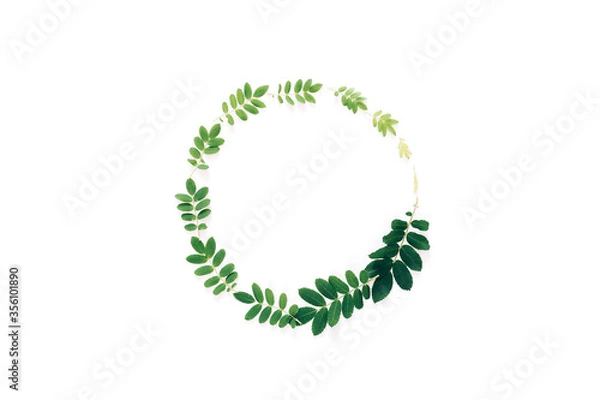 Fototapeta Beautiful wreath of fresh branches, a beautiful frame of branches in a circle leaf maturation, growth in nature