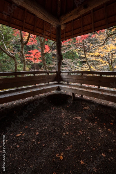 Fototapeta 【2019年】山梨県甲府市・昇仙峡