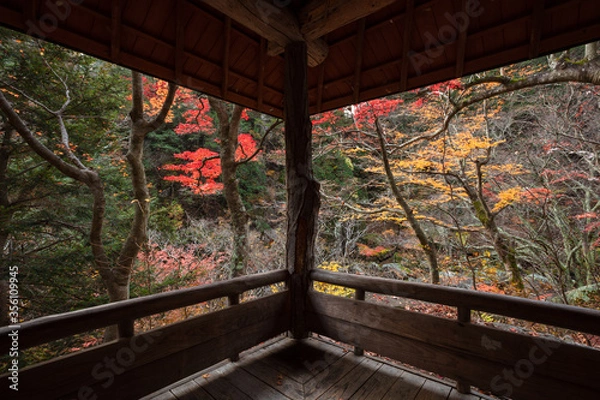 Fototapeta 【2019年】山梨県甲府市・昇仙峡