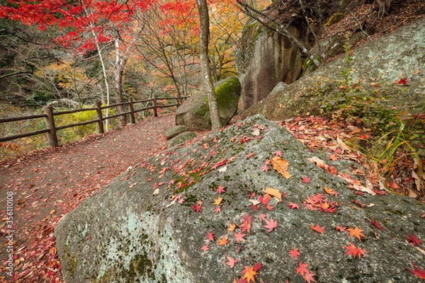 Fototapeta 【2019年】山梨県甲府市・昇仙峡
