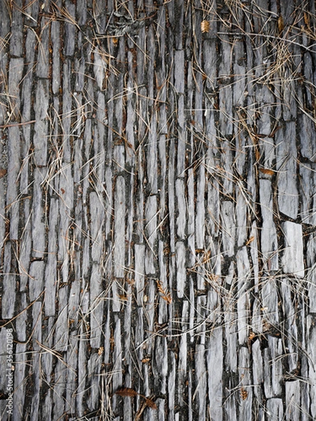 Obraz Thin stone paved pathway with pine needles