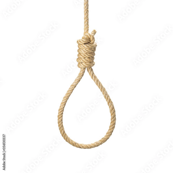 Obraz Rope noose for hangman, suicide made of natural fiber rope real photo image. Hemp rope Rope knot for gallows and Hang mans.  isolate on white background