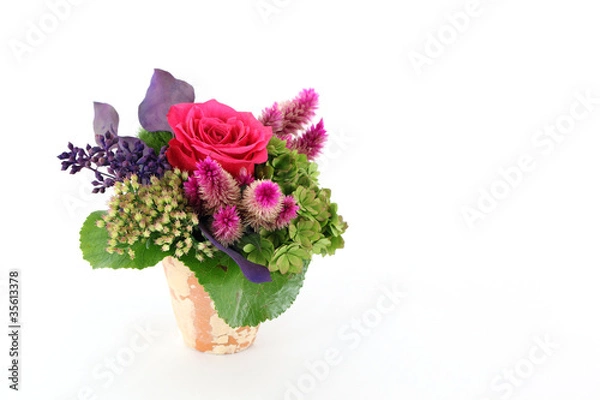 Fototapeta Blumenstrauß