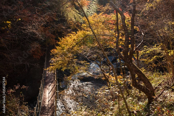 Fototapeta 【2019年】山梨県富士川町・大柳川渓谷