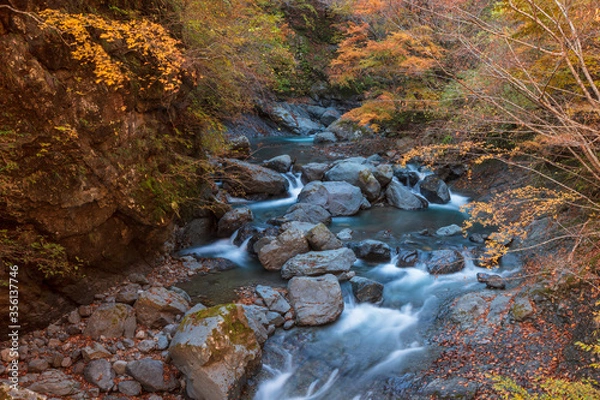 Fototapeta 【2019年】山梨県富士川町・大柳川渓谷