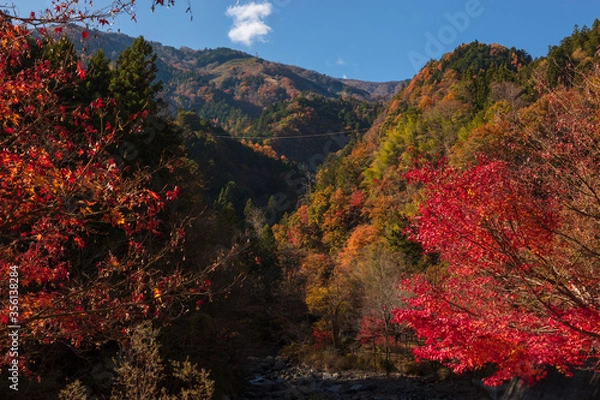 Fototapeta 【2019年】山梨県富士川町・大柳川渓谷
