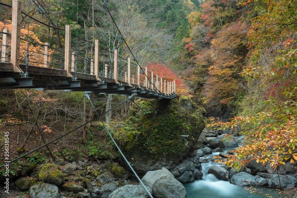 Fototapeta 【2019年】山梨県富士川町・大柳川渓谷