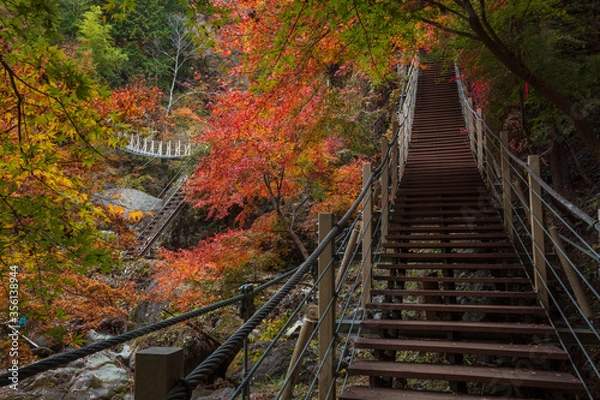 Fototapeta 【2019年】山梨県富士川町・大柳川渓谷