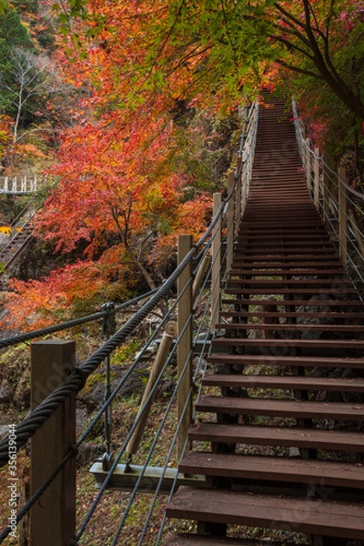 Fototapeta 【2019年】山梨県富士川町・大柳川渓谷