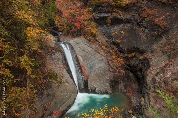 Fototapeta 【2019年】山梨県富士川町・大柳川渓谷