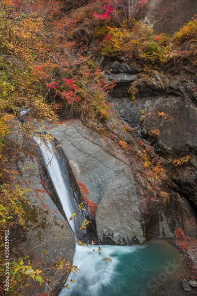 Fototapeta 【2019年】山梨県富士川町・大柳川渓谷