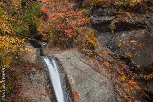 Fototapeta 【2019年】山梨県富士川町・大柳川渓谷