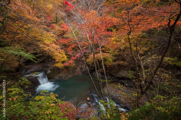 Fototapeta 【2019年】山梨県富士川町・大柳川渓谷