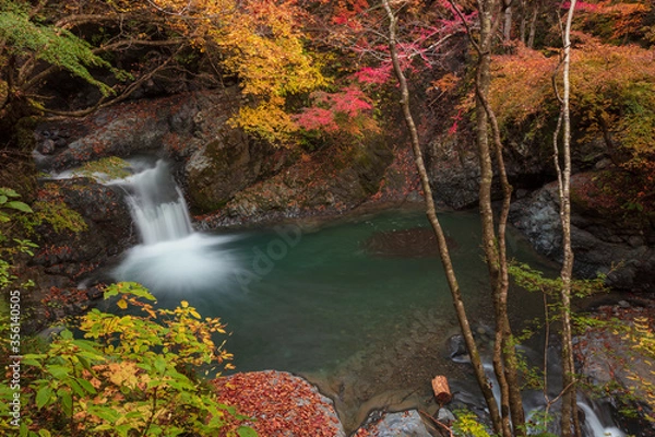 Fototapeta 【2019年】山梨県富士川町・大柳川渓谷