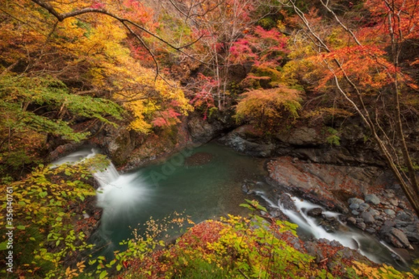 Fototapeta 【2019年】山梨県富士川町・大柳川渓谷