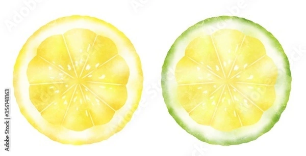Fototapeta 水彩タッチな柑橘の輪切り、レモンとライム、グリーンレモン