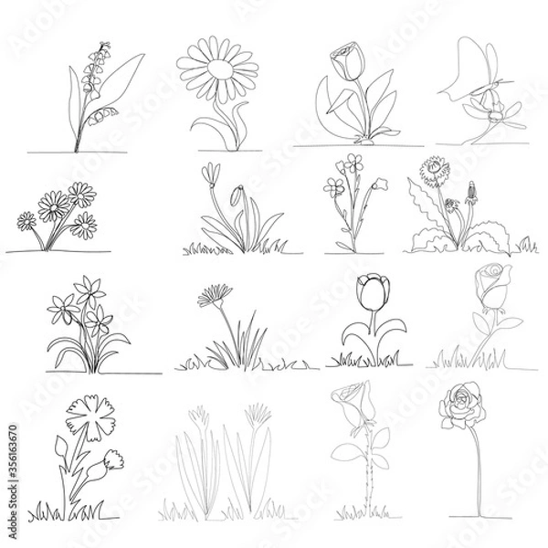 Fototapeta vector, isolated, continuous line drawing of flowers, set