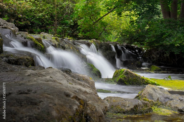 Fototapeta waterfall in the forest