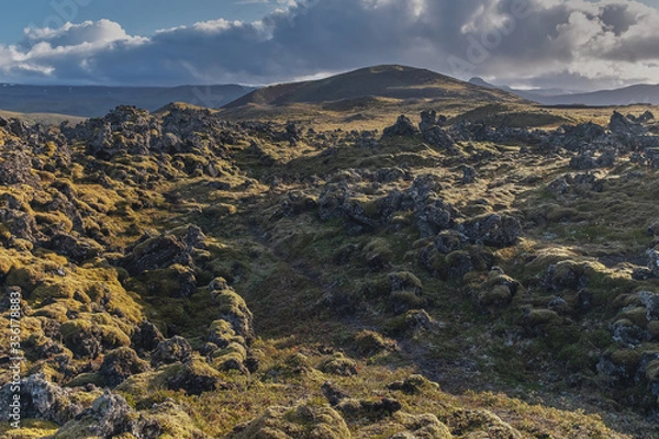 Fototapeta Fields of frozen lava covered with moss. Iceland.