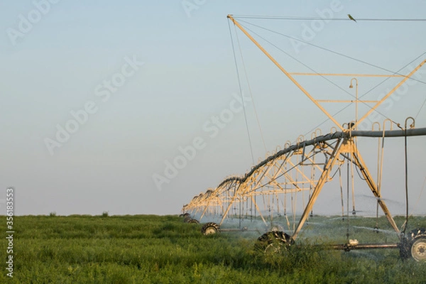 Fototapeta farming by using circle irrigation, pipes, sprinklers and pivots 