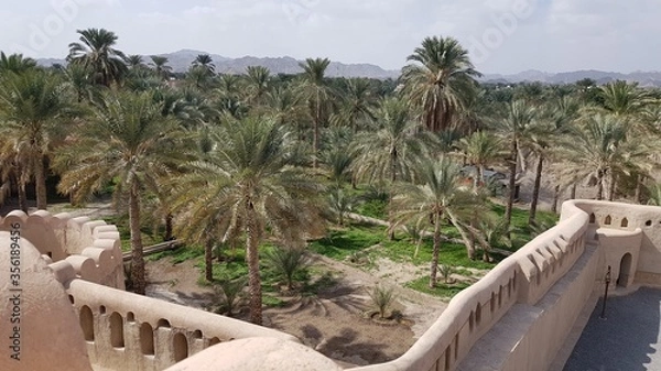 Obraz hammock on the beach
