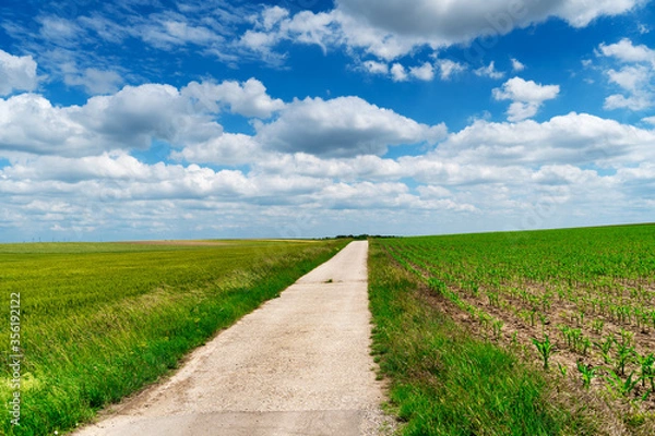 Obraz Landschaft mit Landstrasse