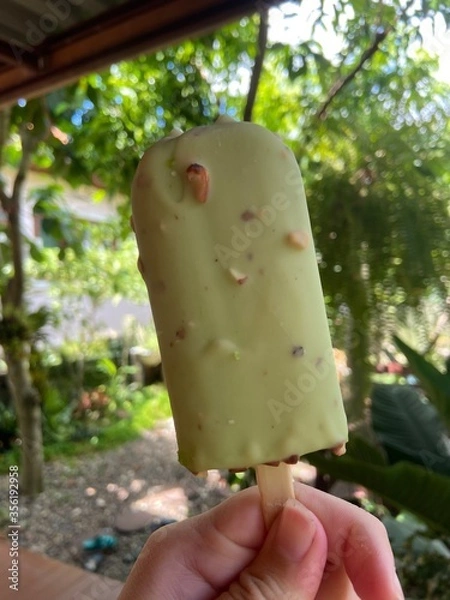 Obraz ice cream in the garden