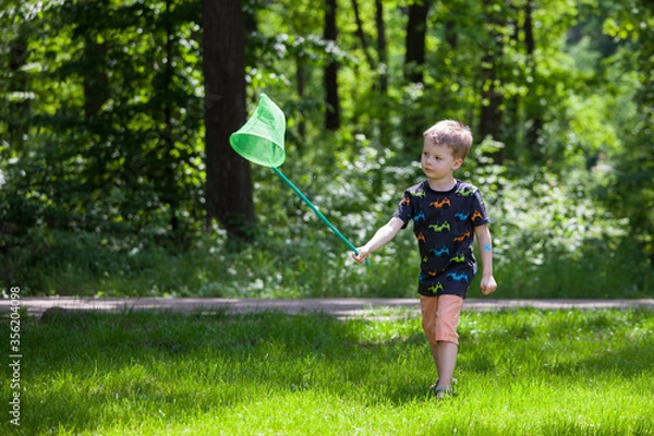 Obraz Boy Sitting Butterfly Net.