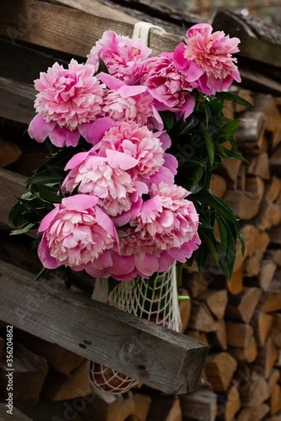 Obraz pink hydrangea flowers