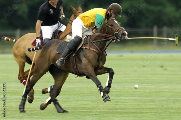 Obraz Open de France