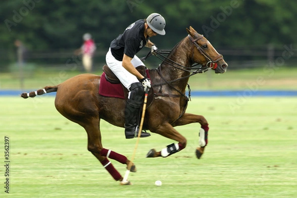 Obraz Otwórz we Francji