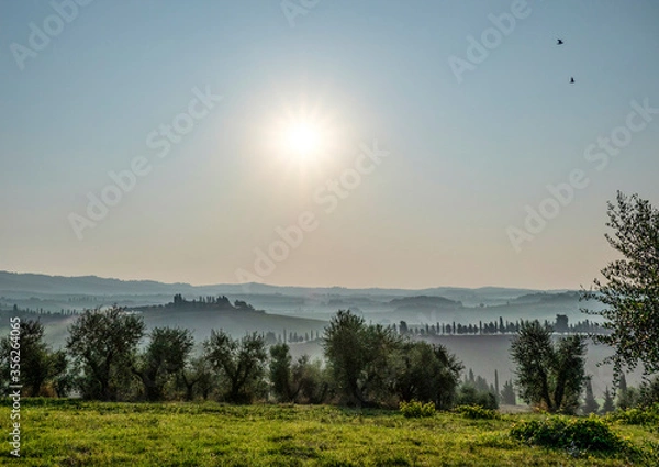 Obraz Landscape in Tuscany
