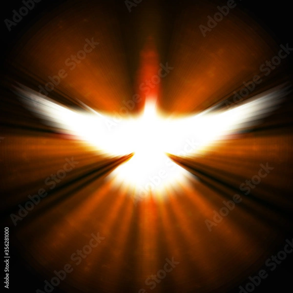 Obraz shining dove with rays on a dark